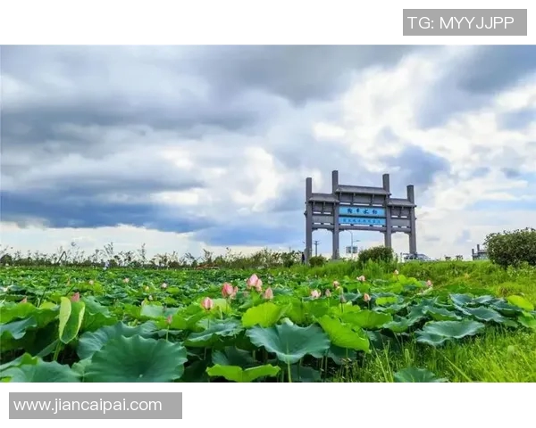 芜湖名称的由来与历史渊源探析以及现代发展中的独特意义